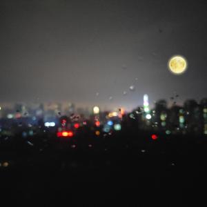 男生取精视频大全
